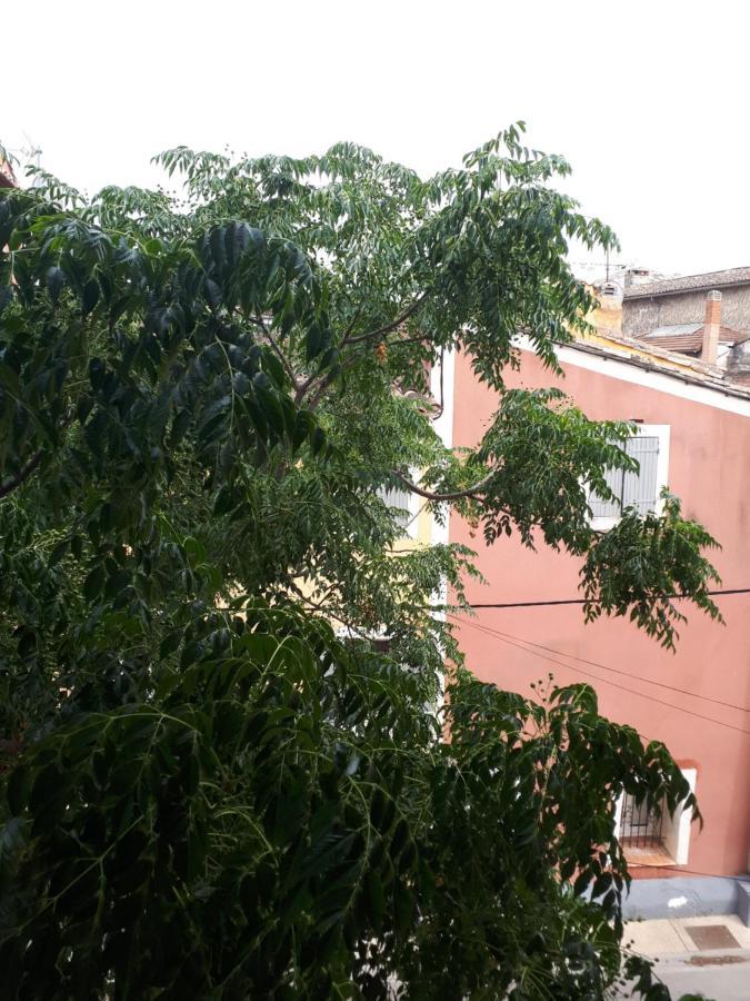 Le Petit Rochereau Apartment LʼIsle-sur-la-Sorgue Екстериор снимка